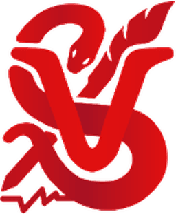 Vital Signs Official Emblem
