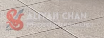 Photo Coverage Watermark